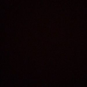 Meet your Posher, Paul